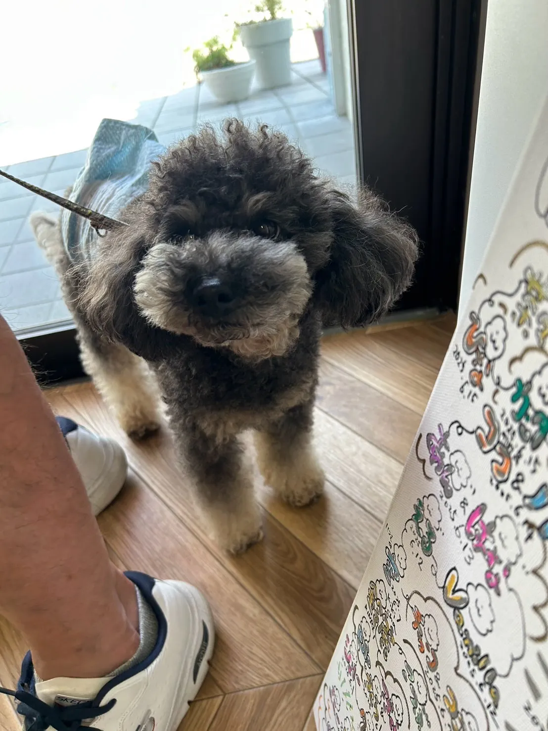 空くん｜今日は“おうちでゆっくり”の日🐾