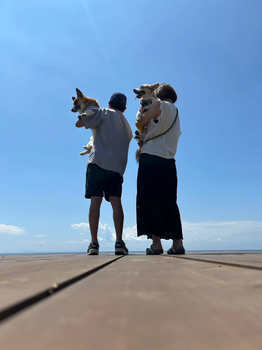 もくくん（コーギー）＆すいちゃん｜はじめてのふりり、海風の記...