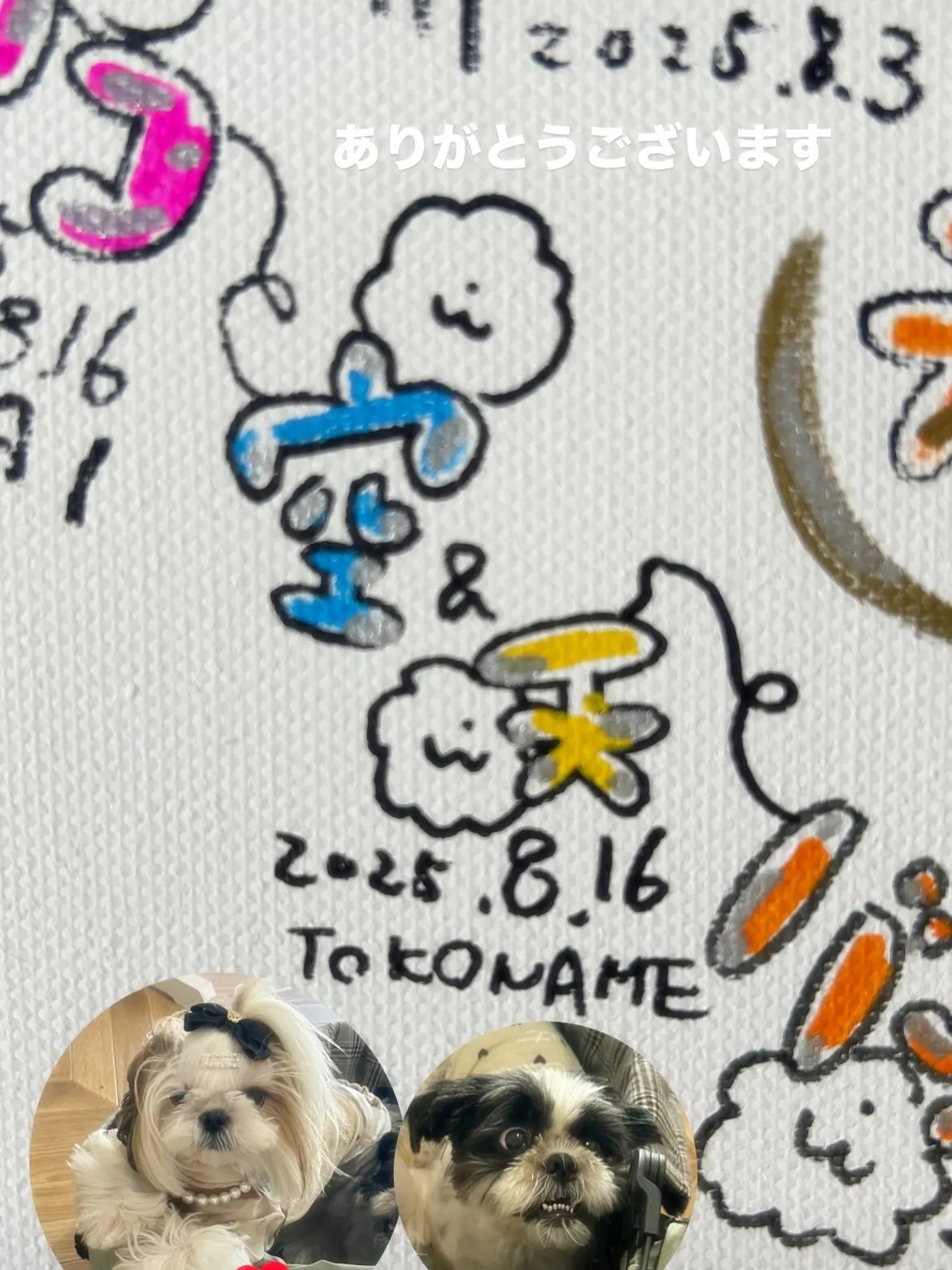 空ちゃん＆天ちゃん｜海風のなかでリラックス、ふりり時間