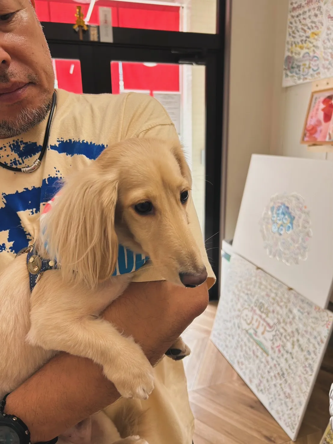 マナくん&リノちゃん|イベントから、はじめての南知多店