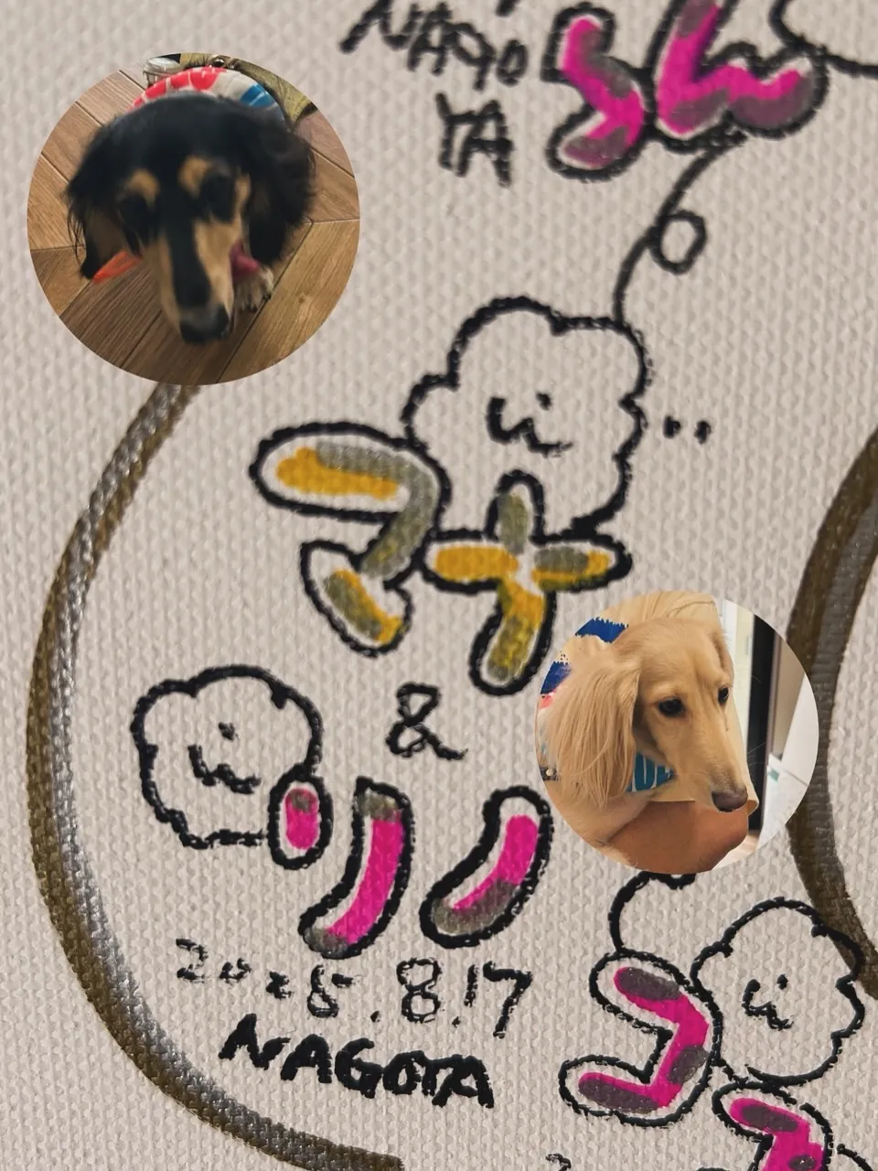 マナくん&リノちゃん|イベントから、はじめての南知多店