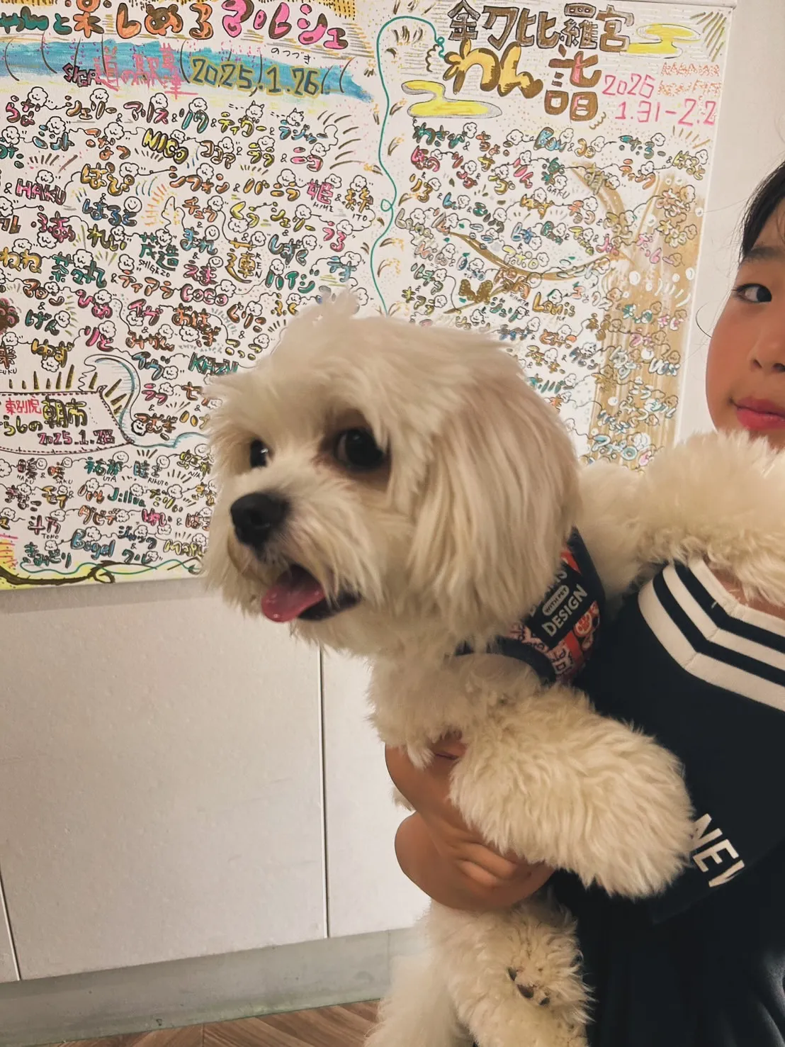 ベルナルドくん＆姫奈ちゃん＆幸宗くん｜みんなで記念日🐾