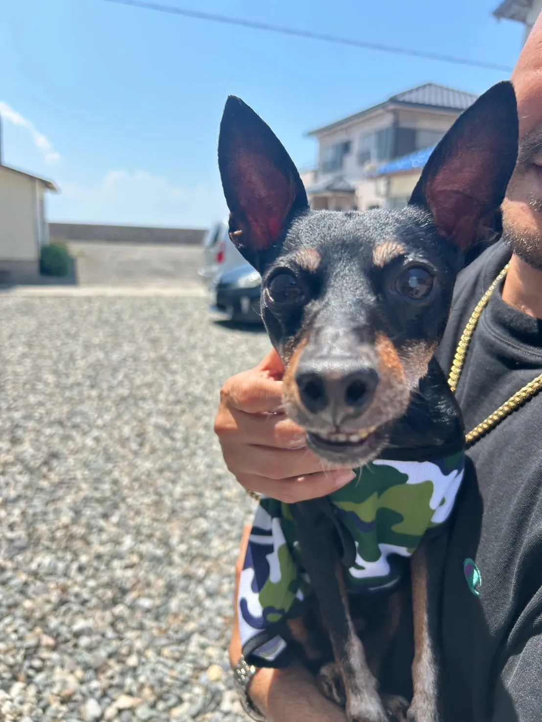 うぃるくん｜“ふりり”と決めてくれている相棒🐾