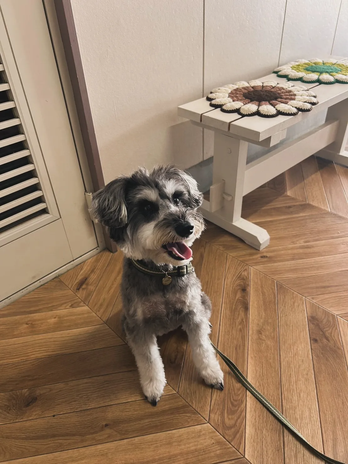 つぶらくん｜海岸線ドライブの〆はふりりへ🐾