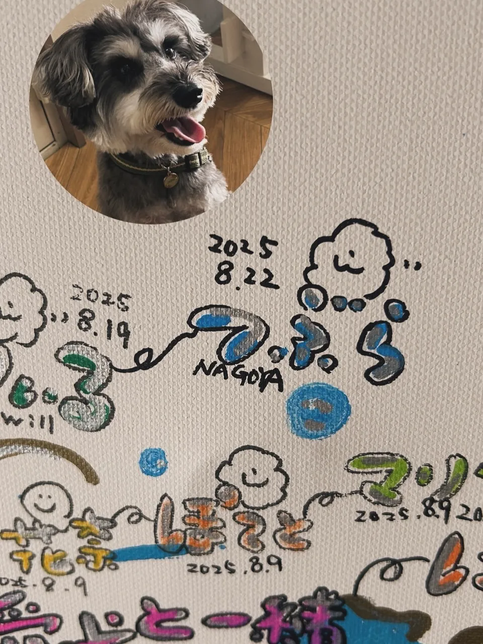 つぶらくん｜海岸線ドライブの〆はふりりへ🐾