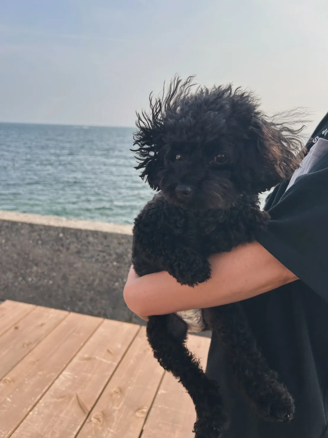 むぎちゃん｜海風とおやつタイム🐾