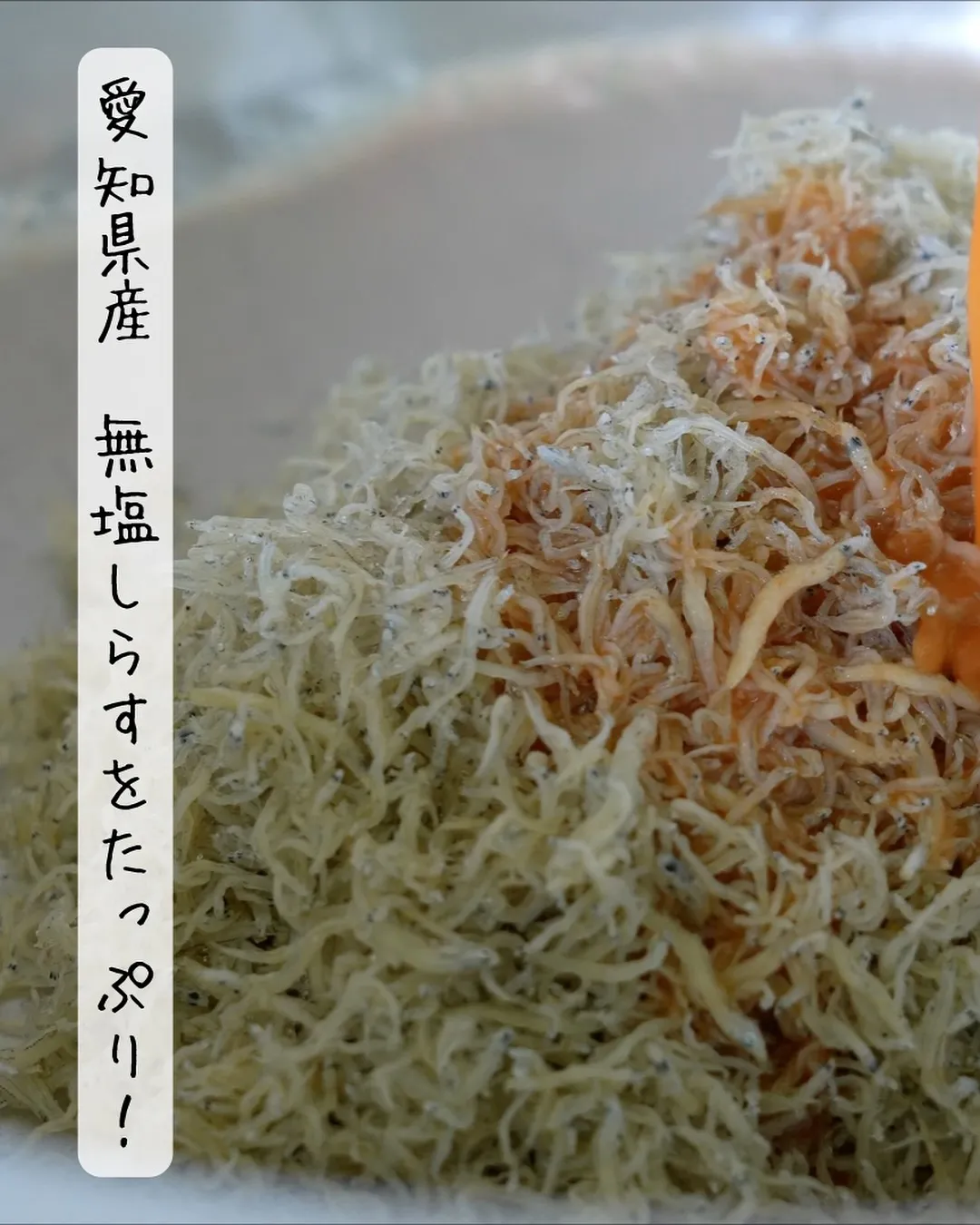 ✨9月のイベント出店のお知らせ✨