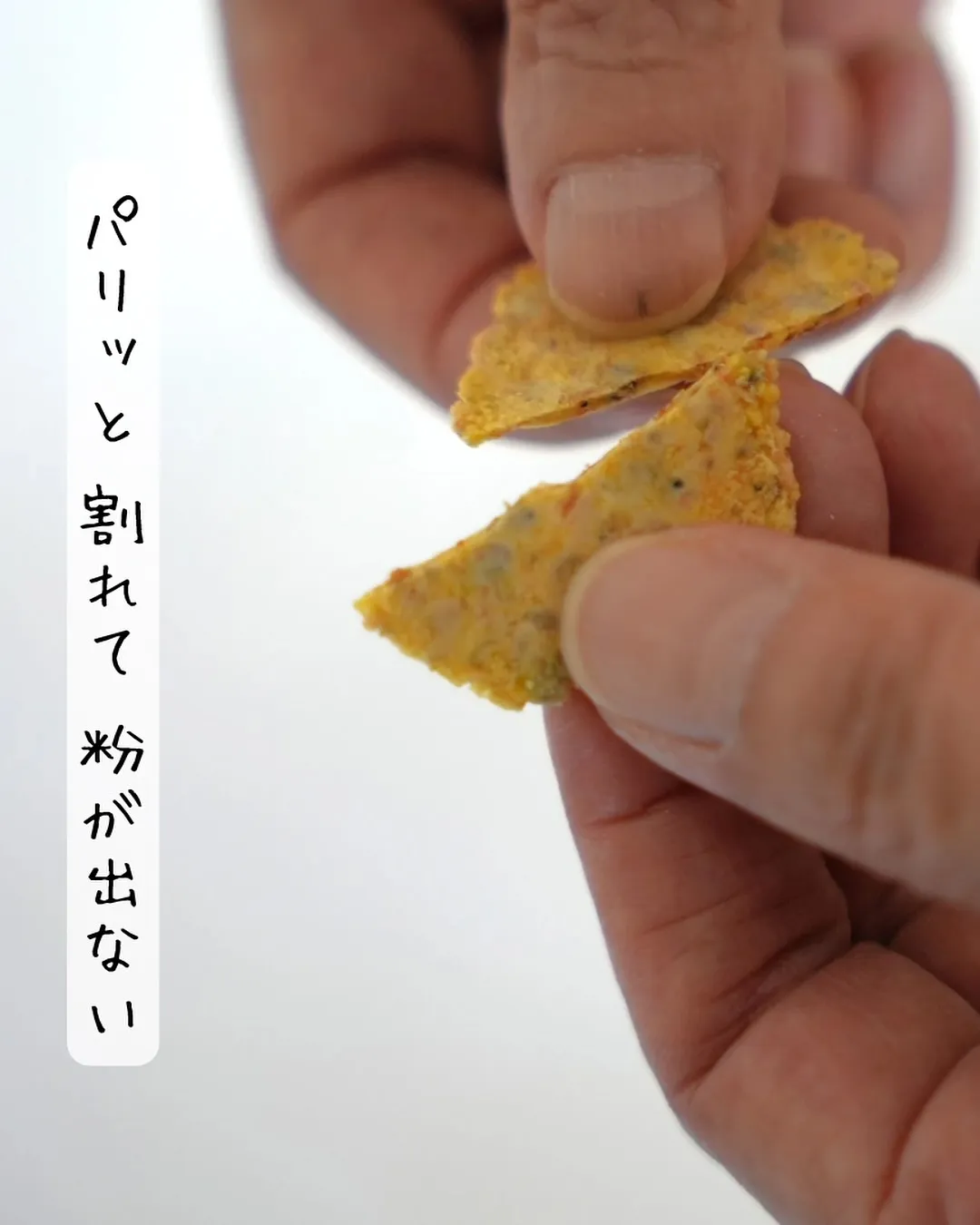 ✨9月のイベント出店のお知らせ✨