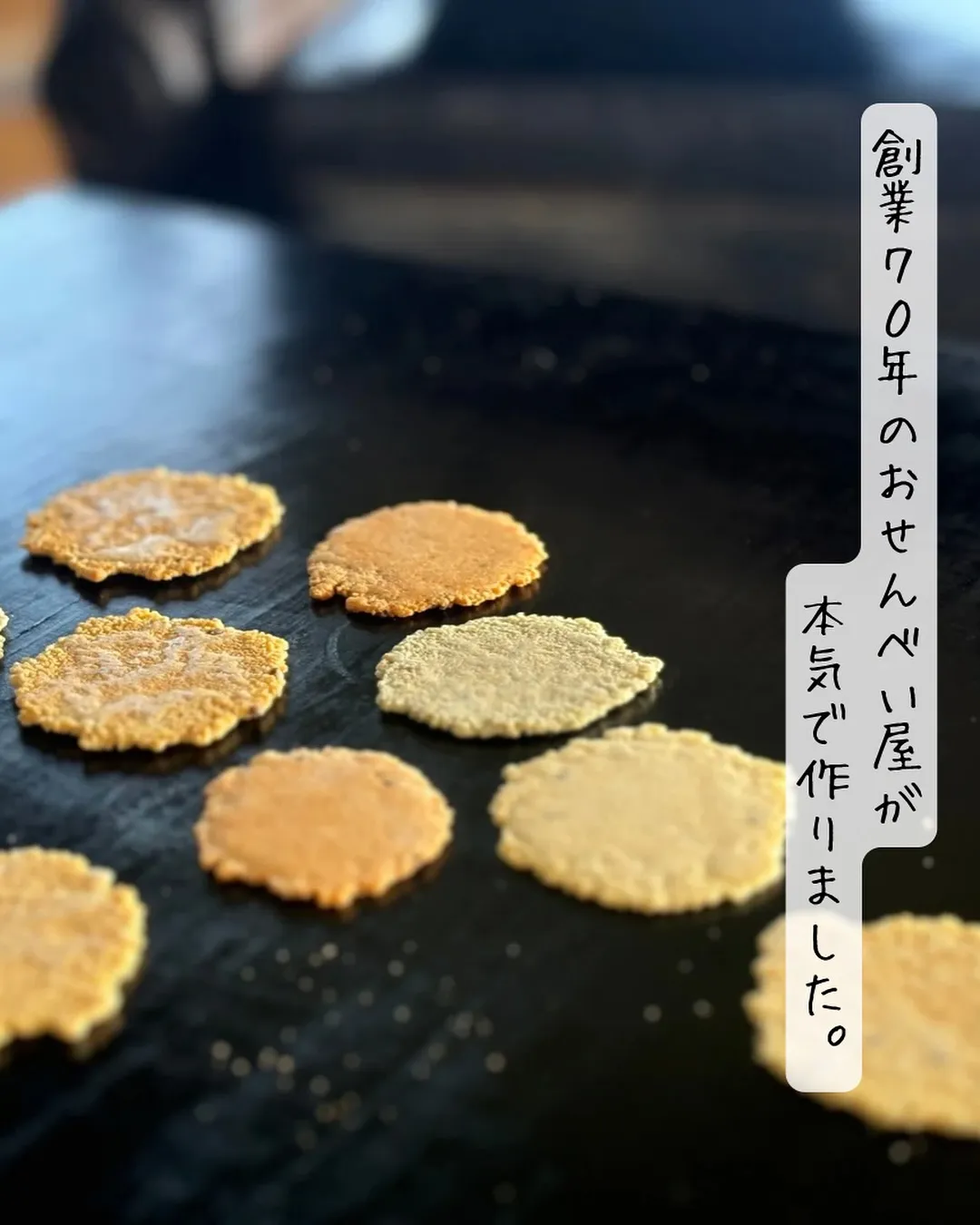 ✨9月のイベント出店のお知らせ✨