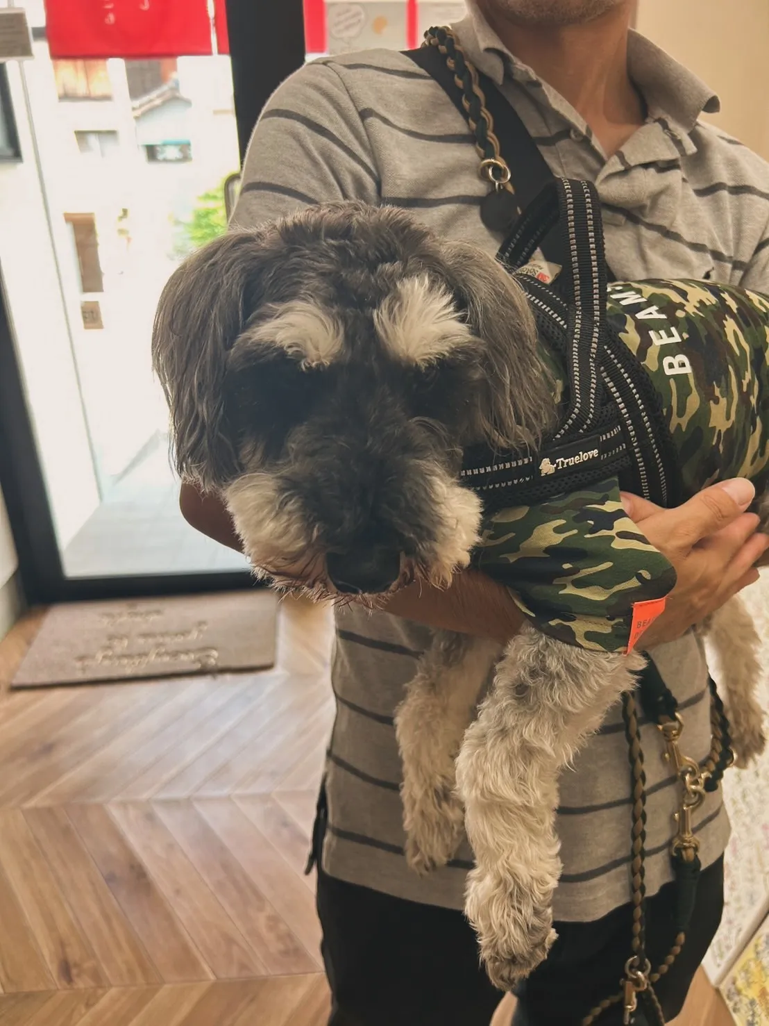 ルカくん|マルシェ常連さんが海の見える店へ🐾