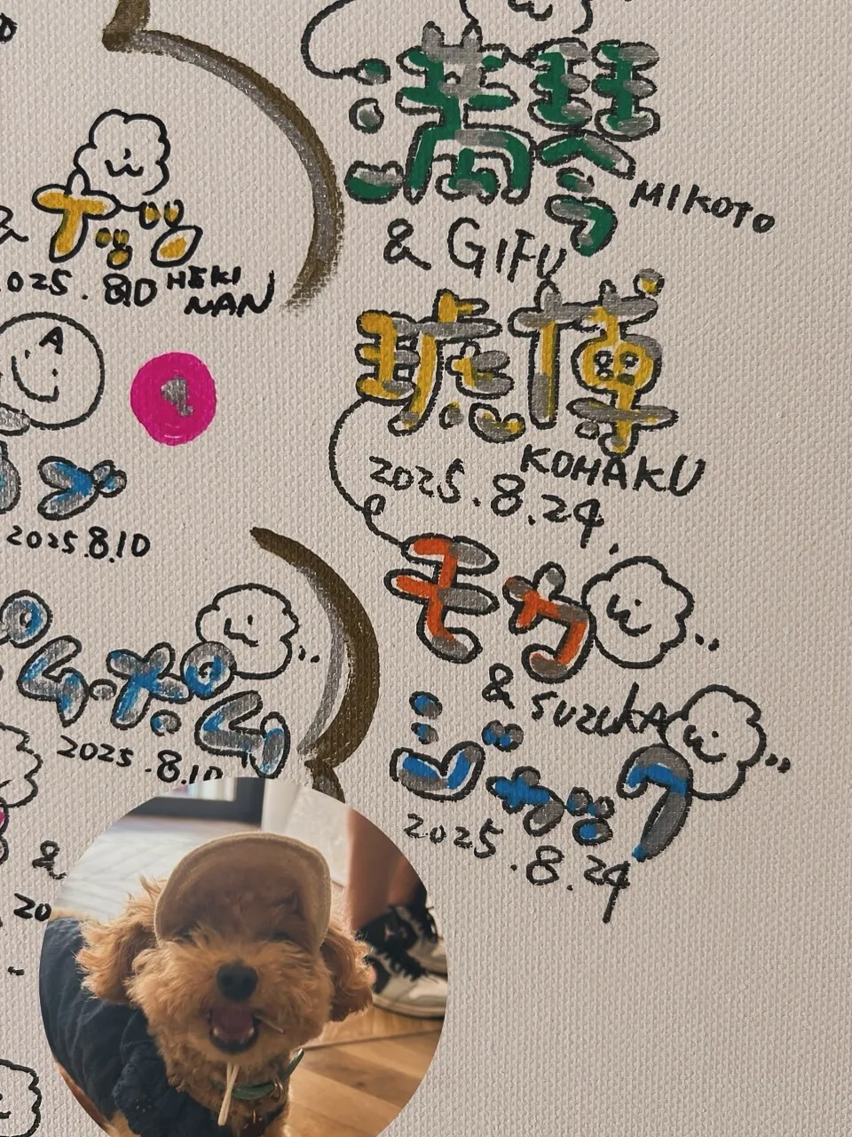 モカちゃん｜鈴鹿から本店へ🐾ふりり