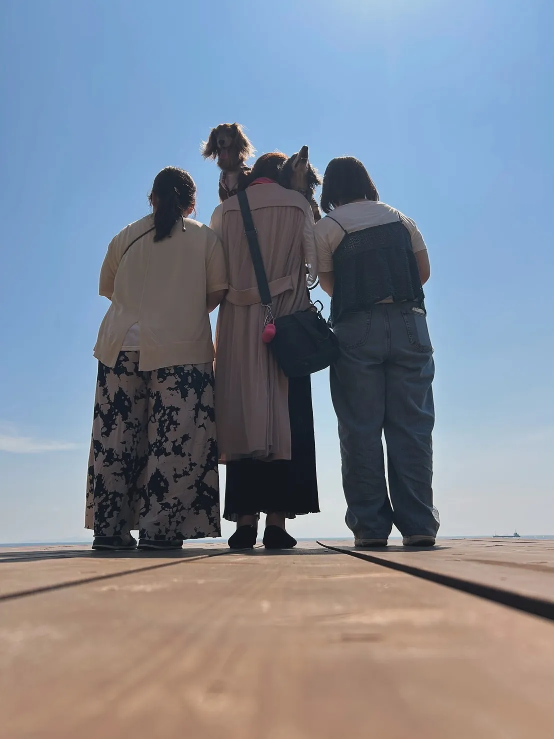 むぎちゃん(4)&ごまちゃん(1)🐾南知多町へ