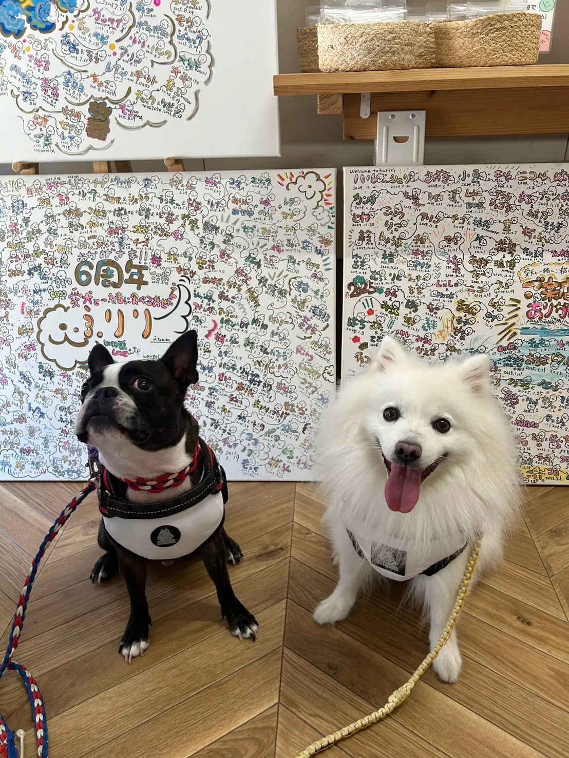 朝イチで各務原からご来店🐾