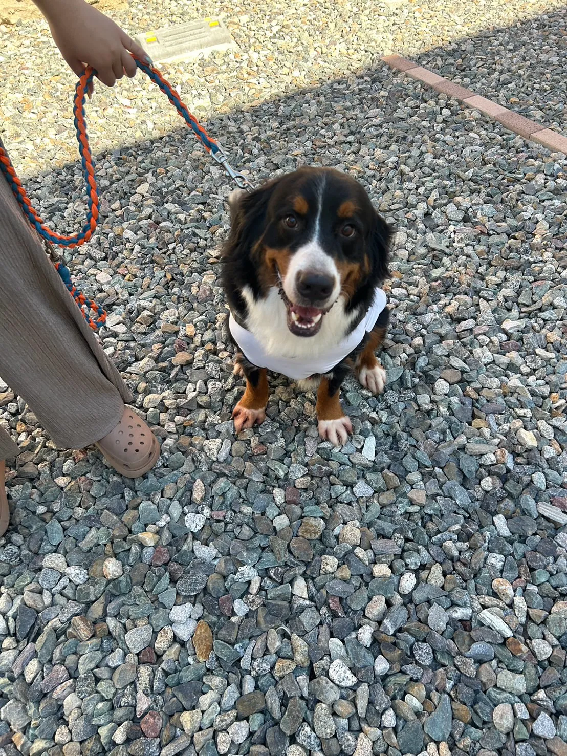 朝イチで各務原からご来店🐾