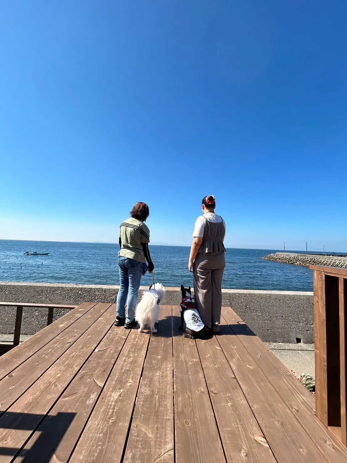 朝イチで各務原からご来店🐾