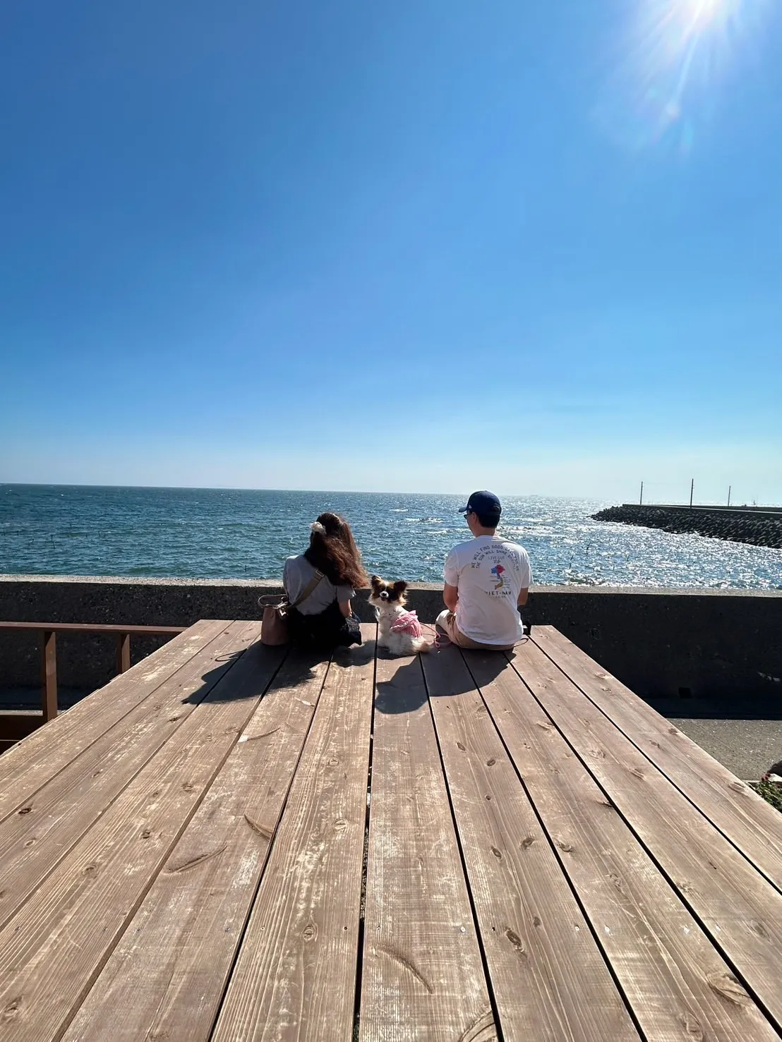 ルイちゃん(パピヨン・6歳)再度遊びに来てくれました🐶💞