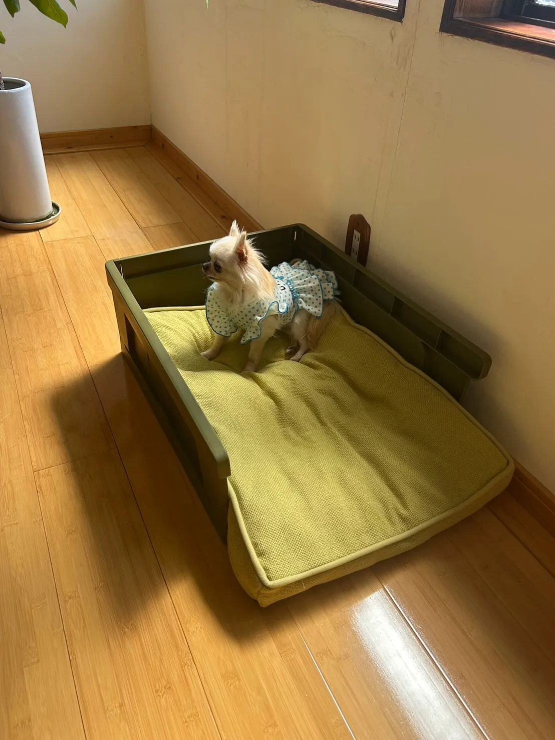 れあんちゃん＆あみんちゃんがご来店💙