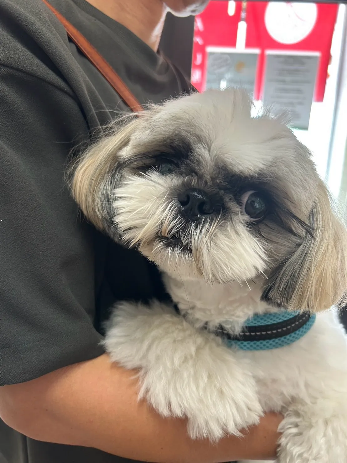 📷 #ファーブル ちゃん(名古屋)