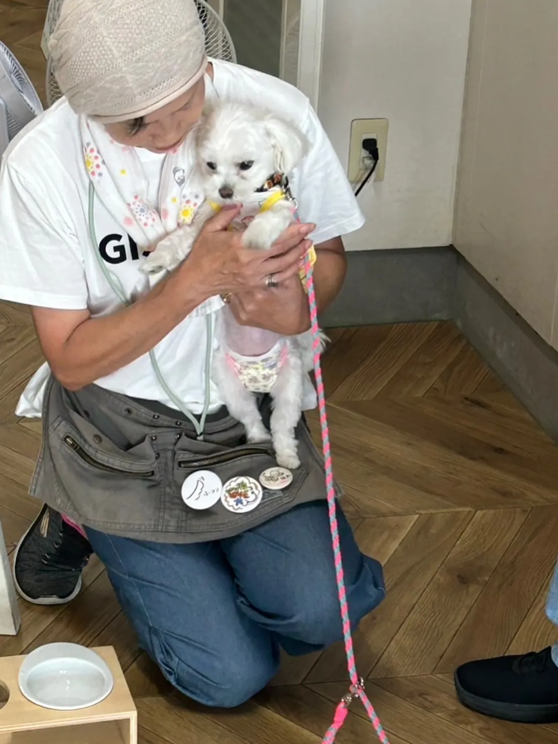 🐾 みるくちゃん & 先代犬ラムちゃん