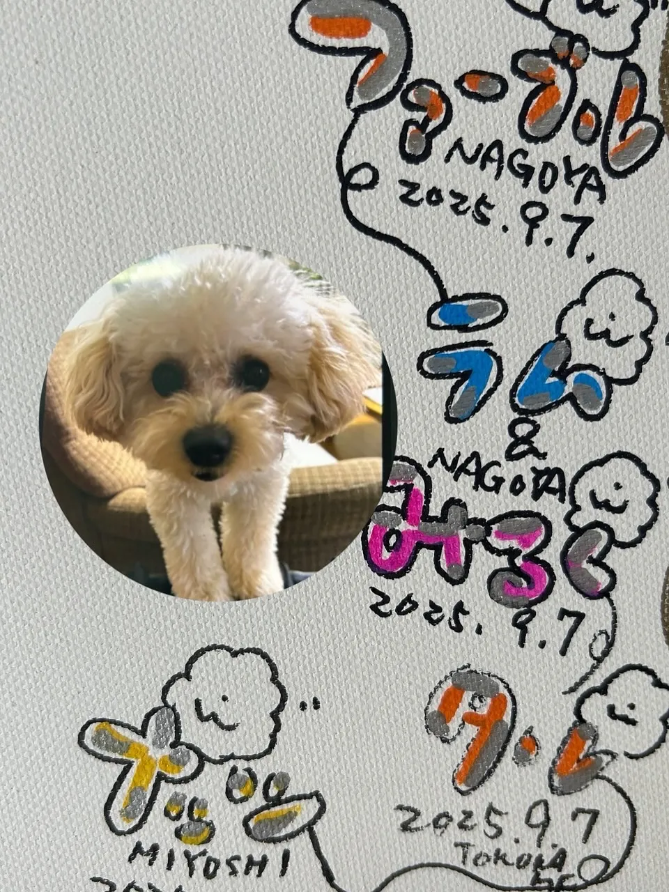 ナッツくん（トイプー）🐶