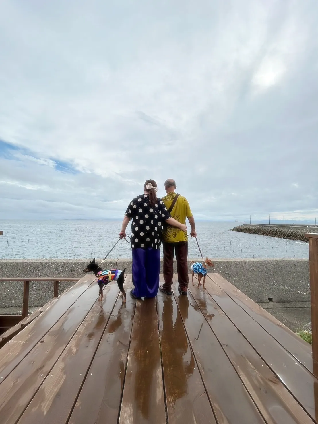 マロくん＆ヤトくん🐶🐶