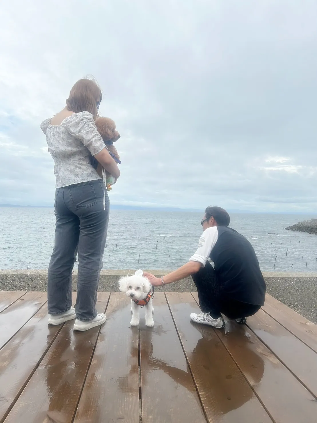 翠華（すいか）くん＆蕾千（らいち）くんがご来店🐾#ご来店わん...