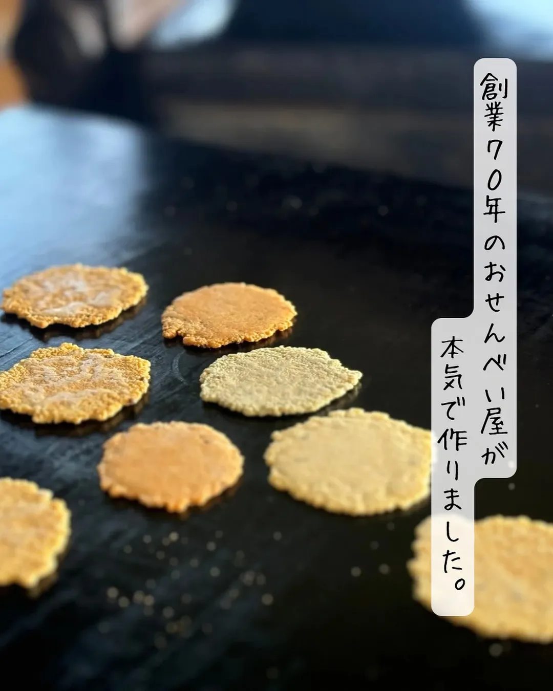 🍁愛犬と秋のおでかけにぴったり|10月イベント出店情報