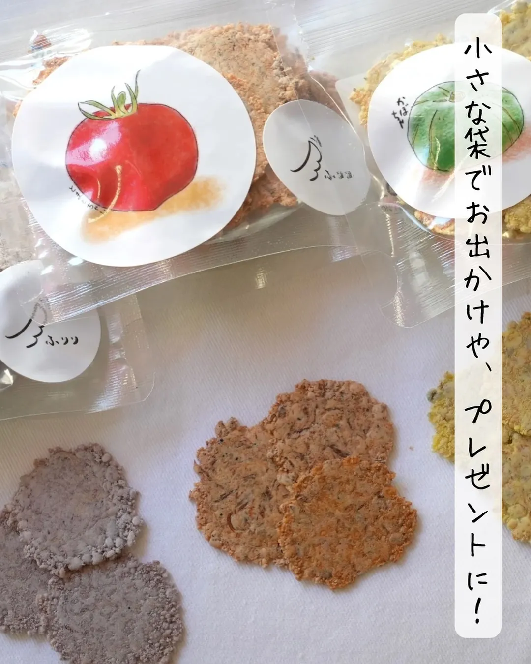 🍁愛犬と秋のおでかけにぴったり|10月イベント出店情報