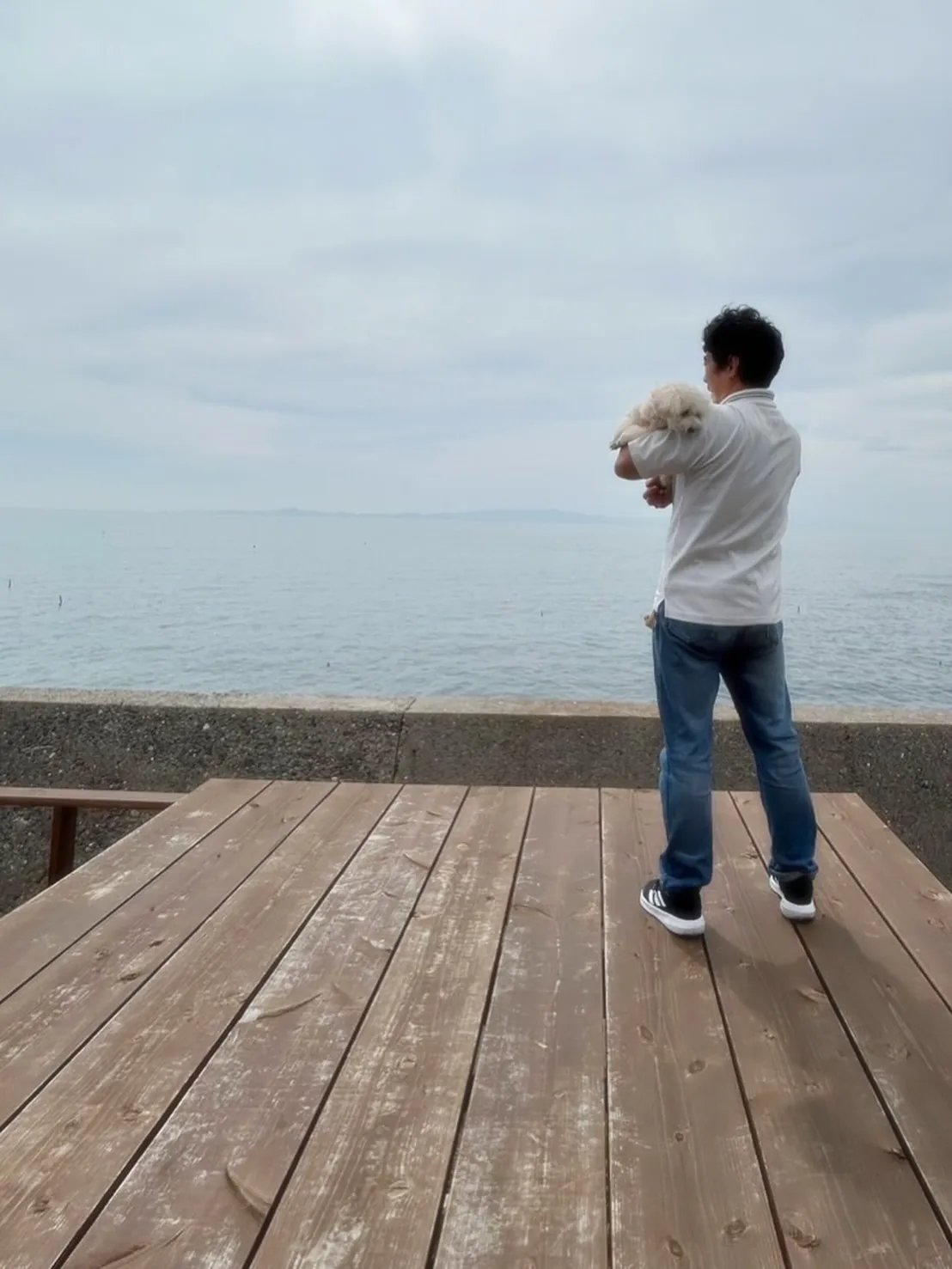 ココくん（東海市）🐾ふりりへ