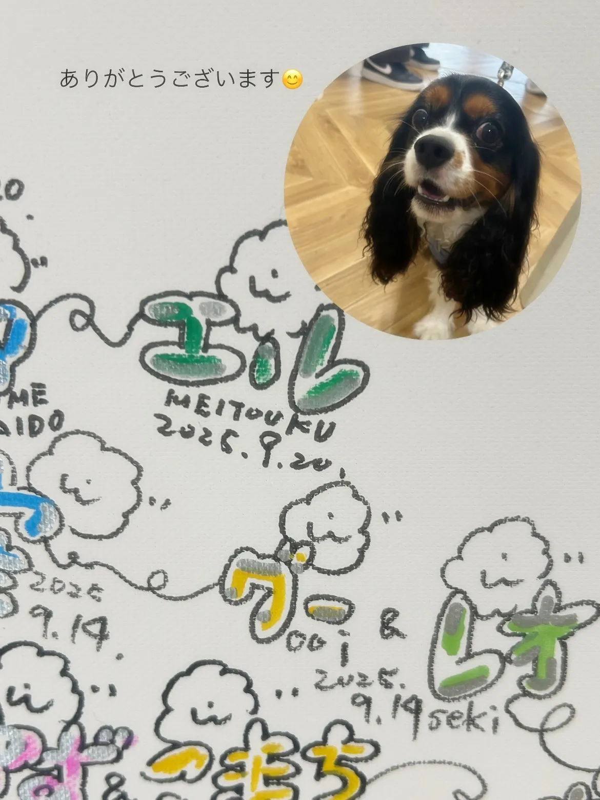 エルくん（3歳半）ご来店🧡#ご来店わんこ 