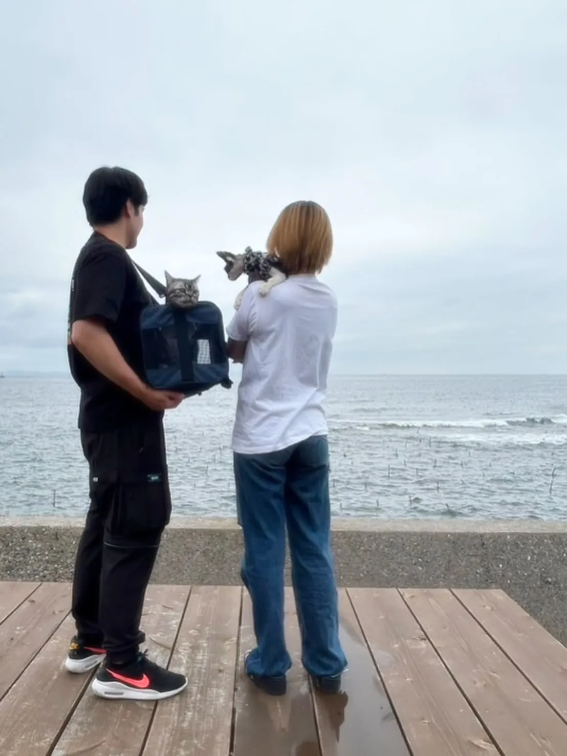 カラ松くん＆ガラシャちゃん、応援ニャンコちゃんのご来店ありが...