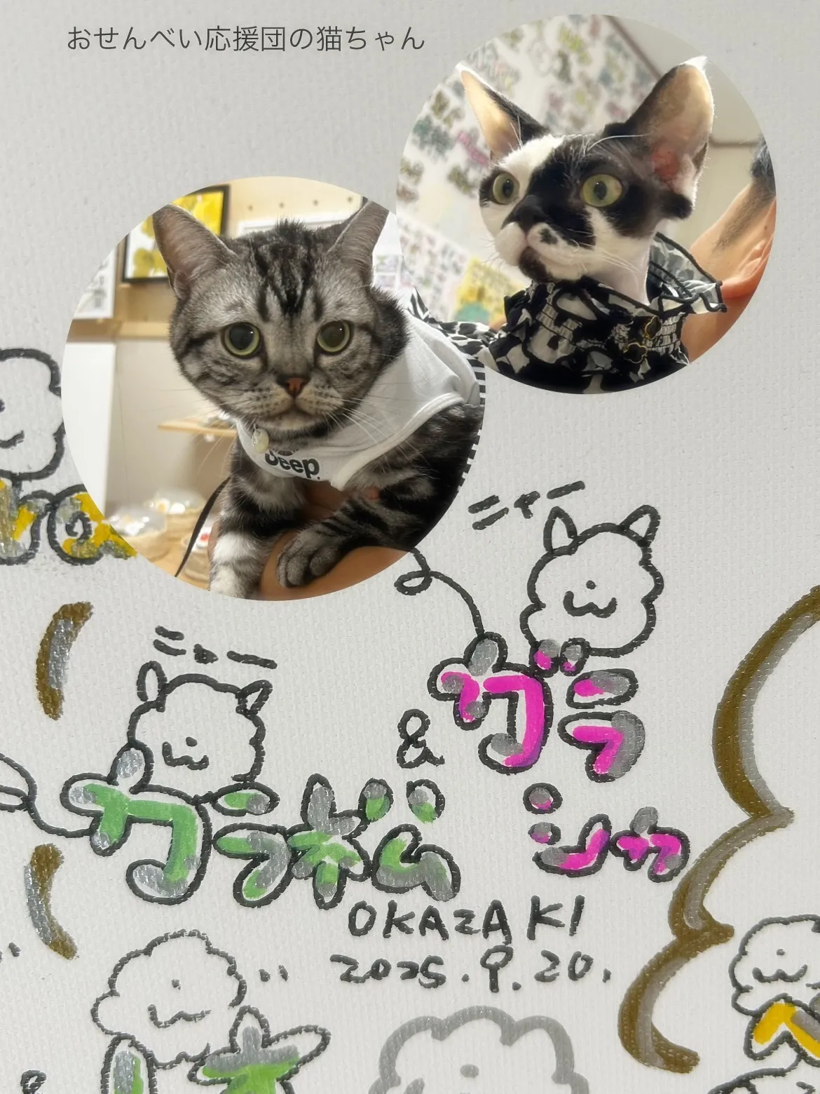 カラ松くん＆ガラシャちゃん、応援ニャンコちゃんのご来店ありが...