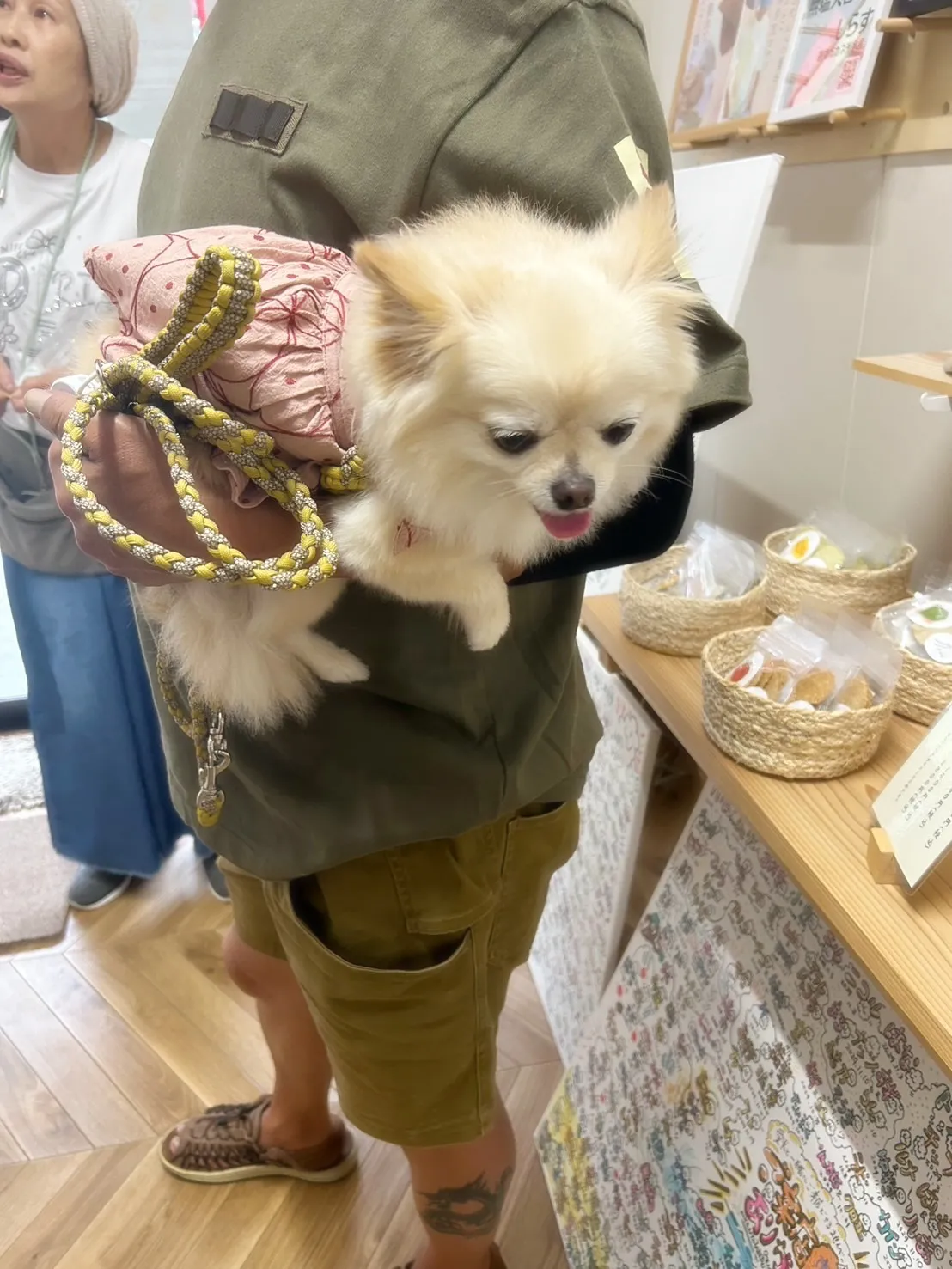 🧺Lilyちゃん(トイプードル)& Laraちゃんが知多市か...