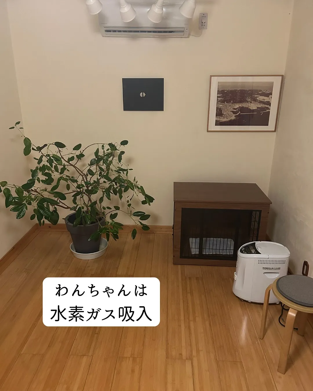 わんちゃんと “貸切” 古民家で、ととのう時間。