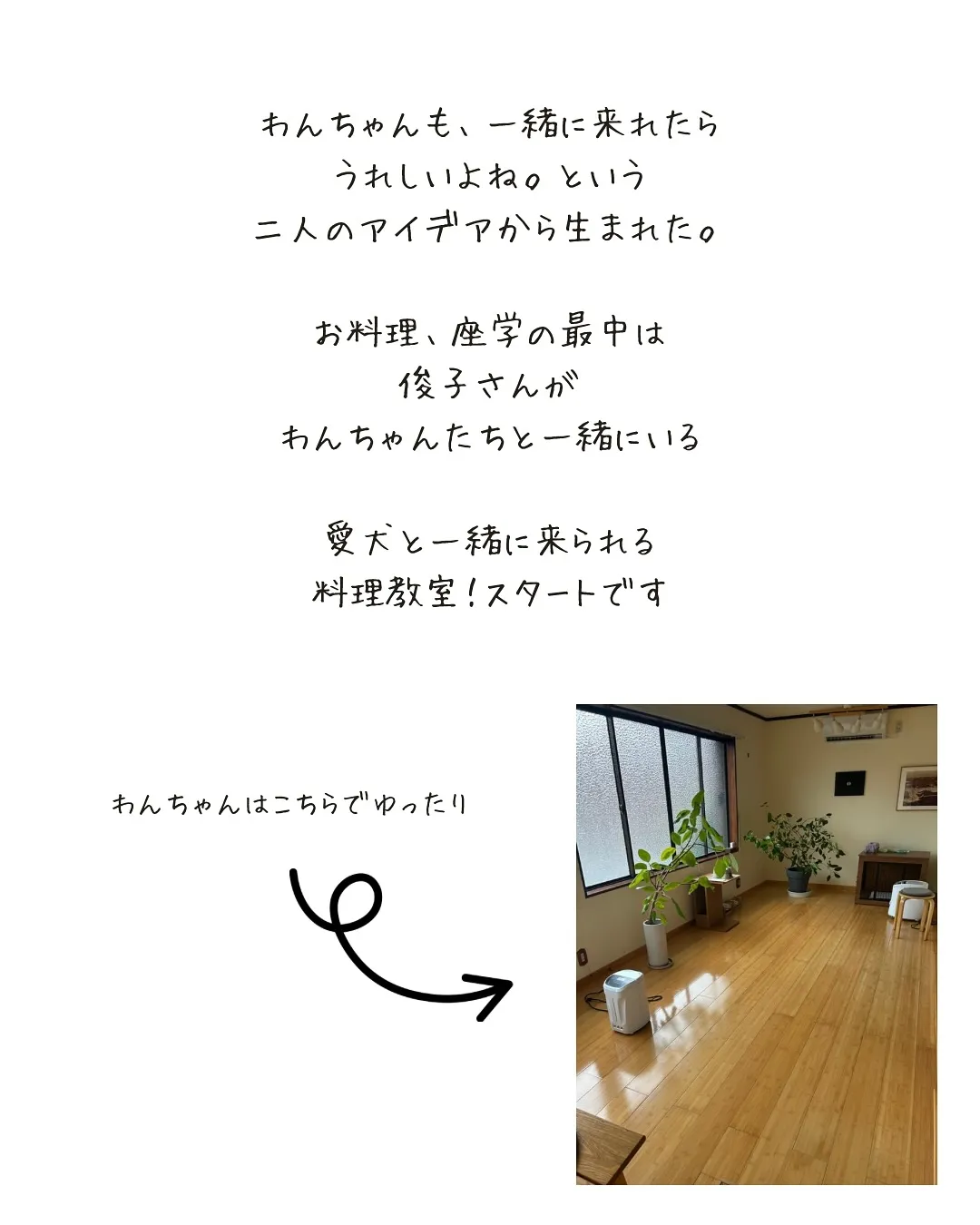 愛犬と一緒に来られるわんこごはん教室開催するなら❔