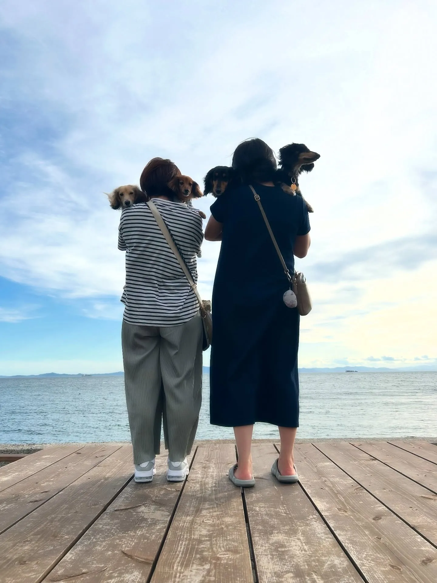 レンちゃん＆らいあちゃん、くうちゃん＆そるちゃん🐶🐶🐶🐶ご来...