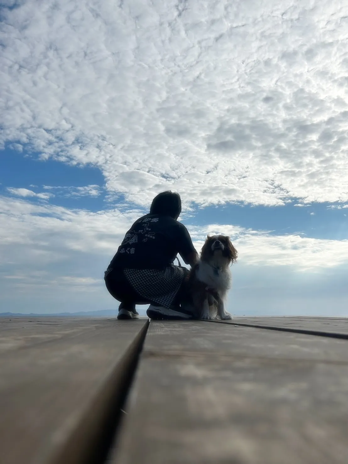 【本日のわん客さま🐶】ナッツくん🥜（キャバリア）ご来店ありが...