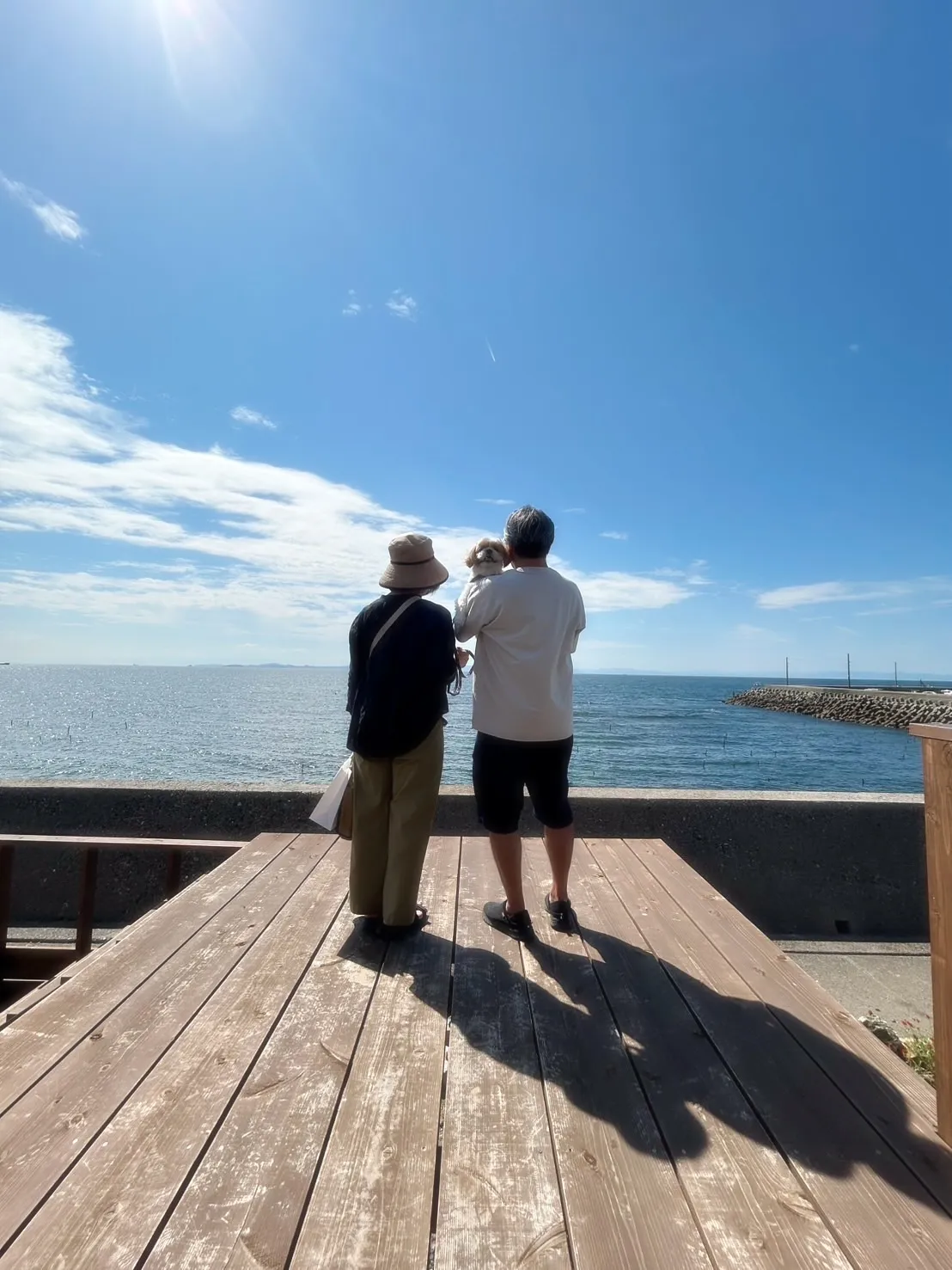 【本日のわん客さま🐶】エマーブルちゃん(シーズー/大府市)