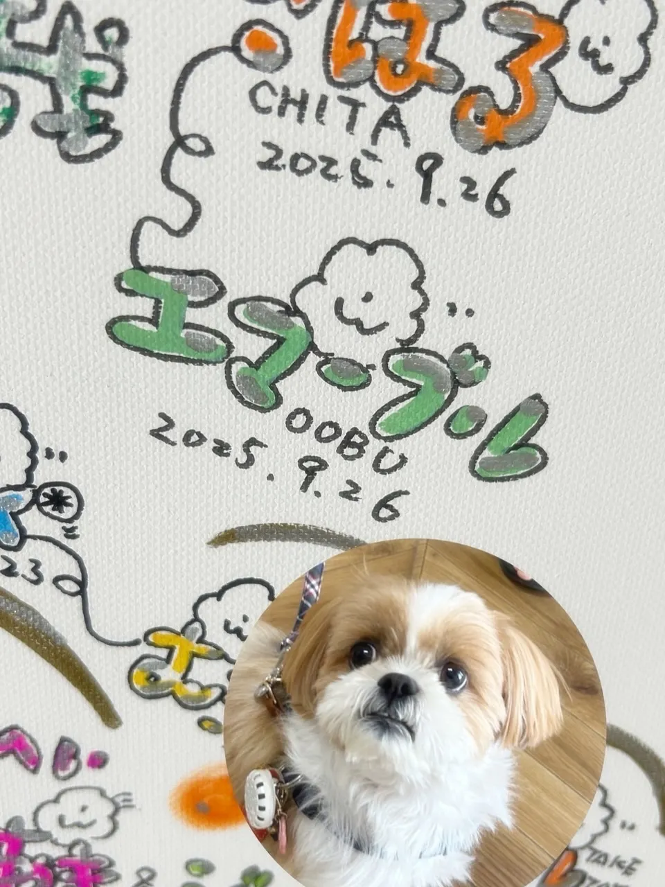 【本日のわん客さま🐶】エマーブルちゃん(シーズー/大府市)