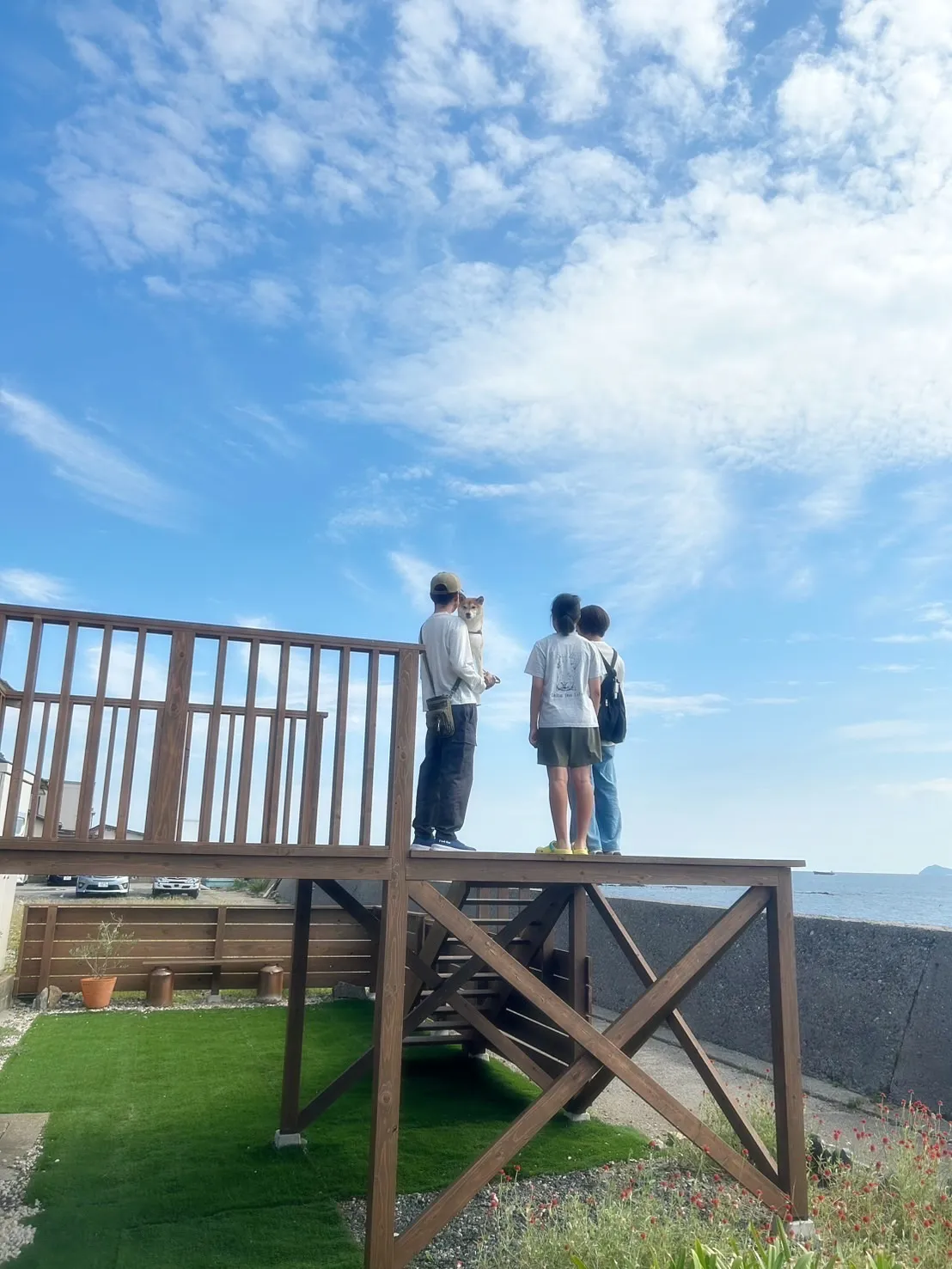 【本日のわん客さま🐶】ちゃちゃちゃん(柴犬/春日井)