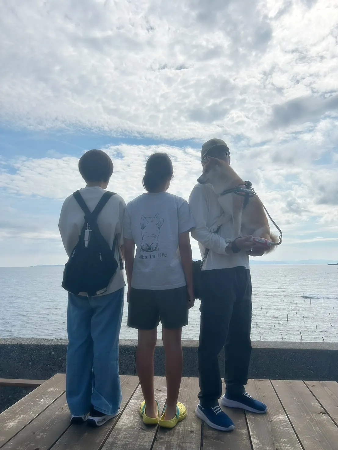 【本日のわん客さま🐶】ちゃちゃちゃん(柴犬/春日井)