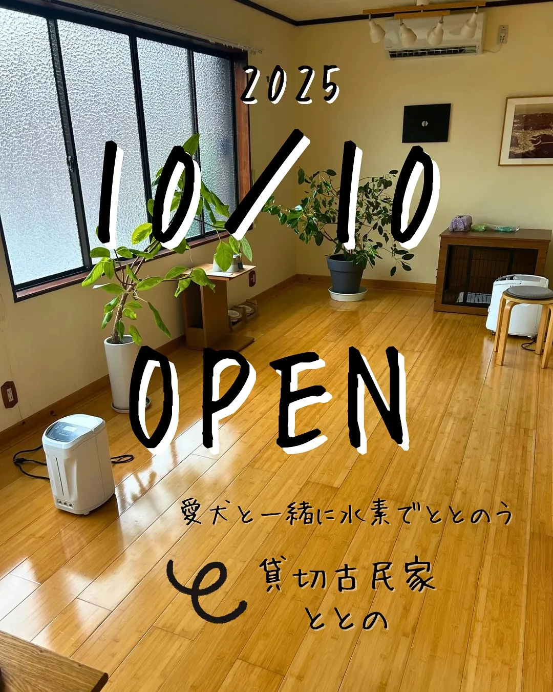 「🐾愛犬と一緒に南知多で“水素体験”|貸切古民家ととのOPE...