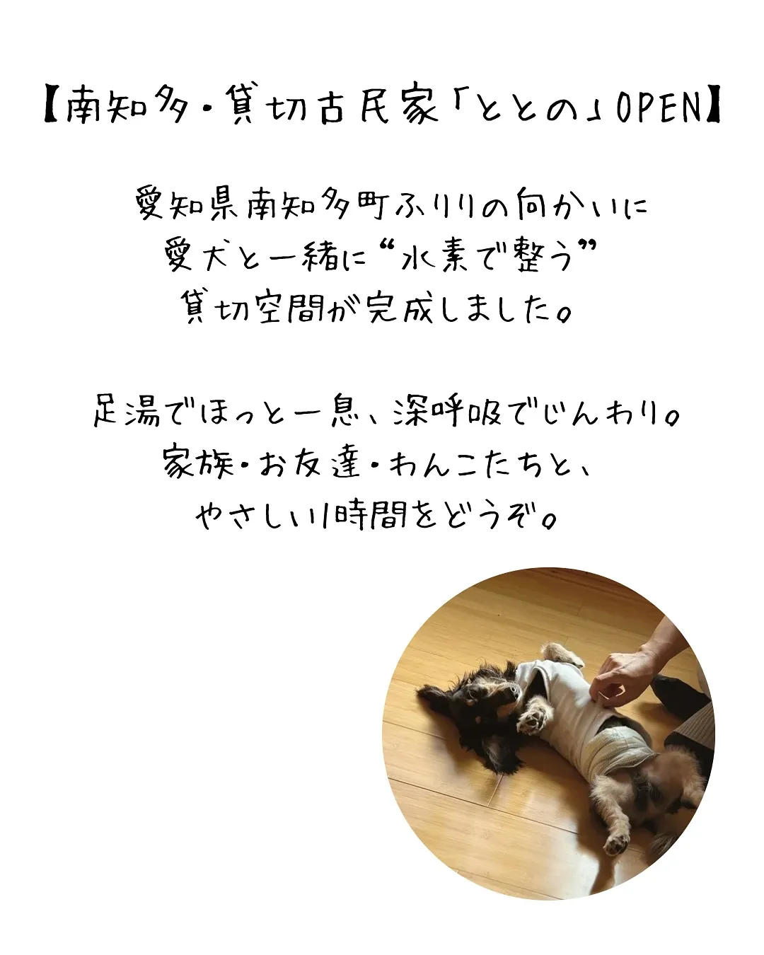 「🐾愛犬と一緒に南知多で“水素体験”|貸切古民家ととのOPE...