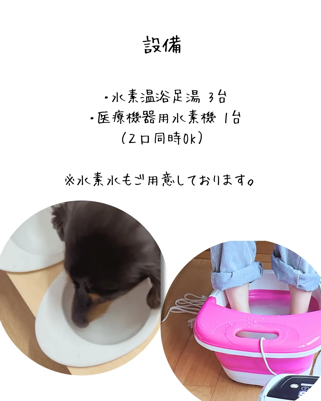 「🐾愛犬と一緒に南知多で“水素体験”|貸切古民家ととのOPE...