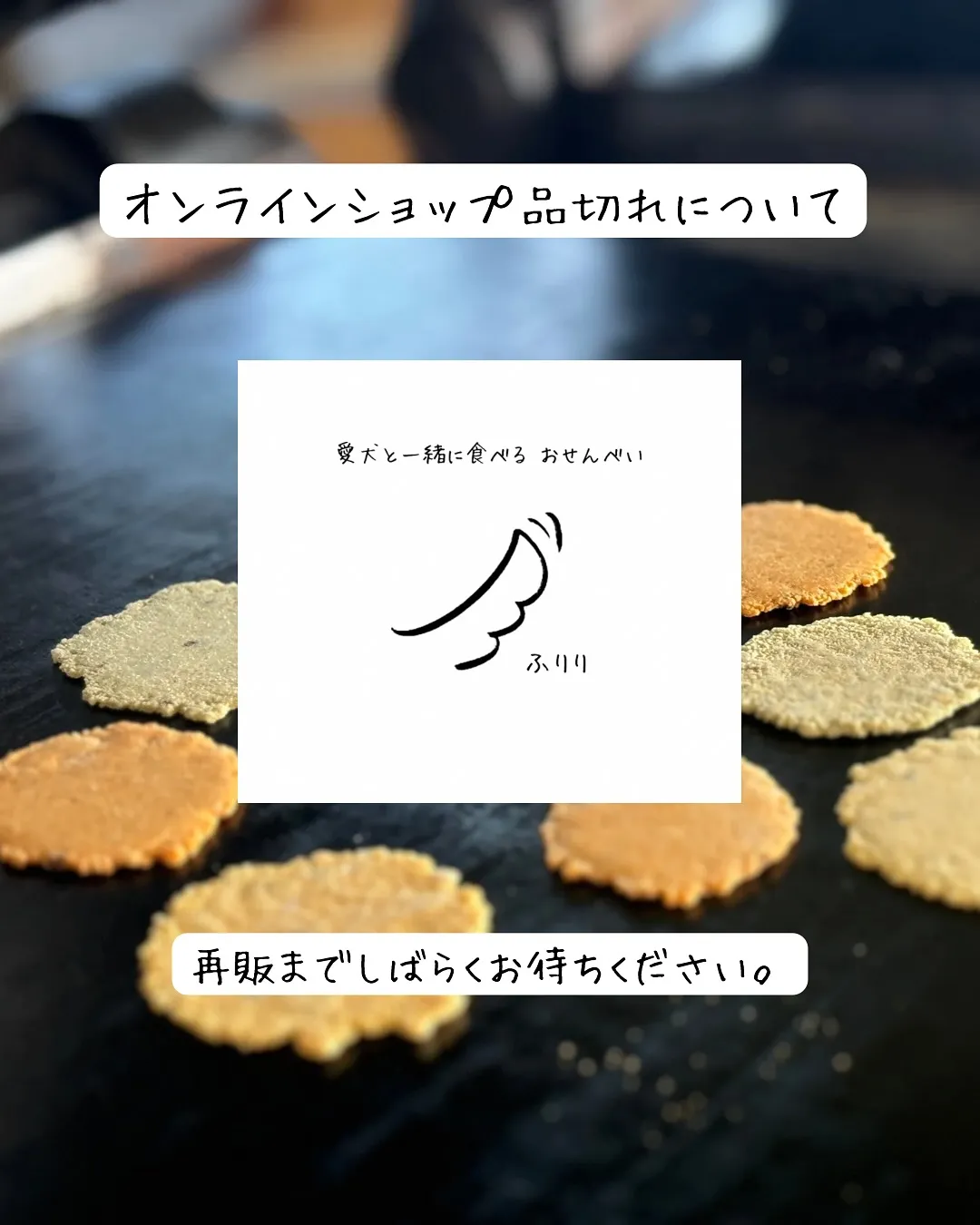 お知らせです🌿