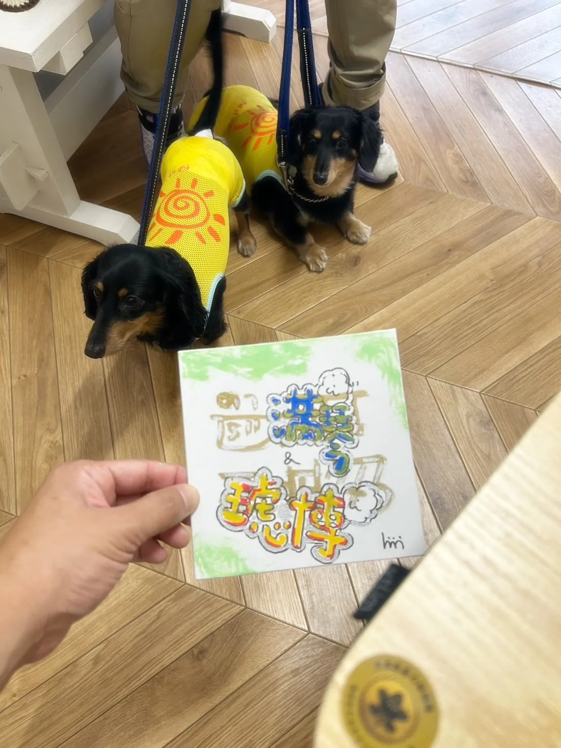 【本日のご来店わんこ🐶】満琴(みこと)くん&琥博(こはく)く...