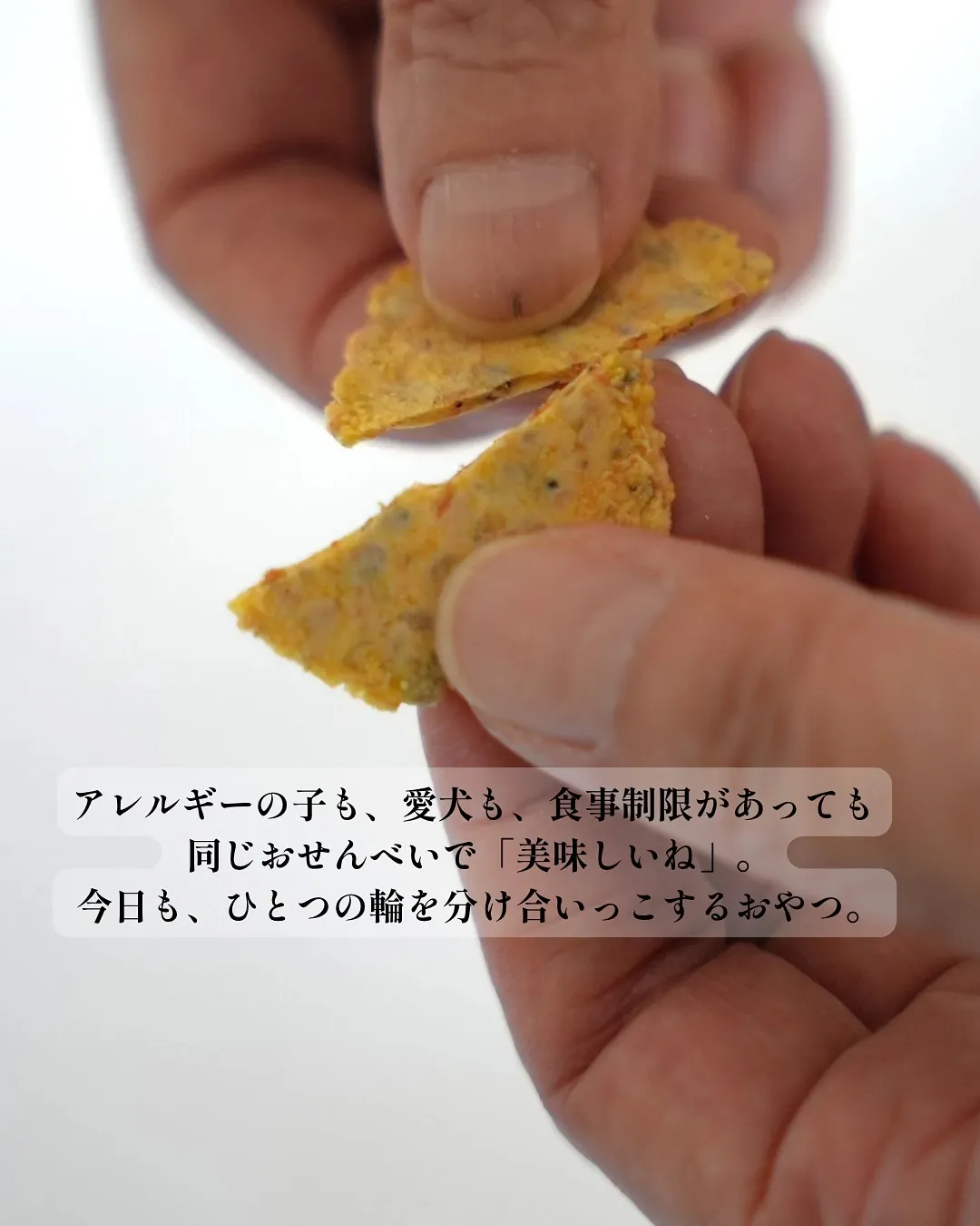 ふりりおせんべい、たくさんの完売ありがとうございます🍘✨