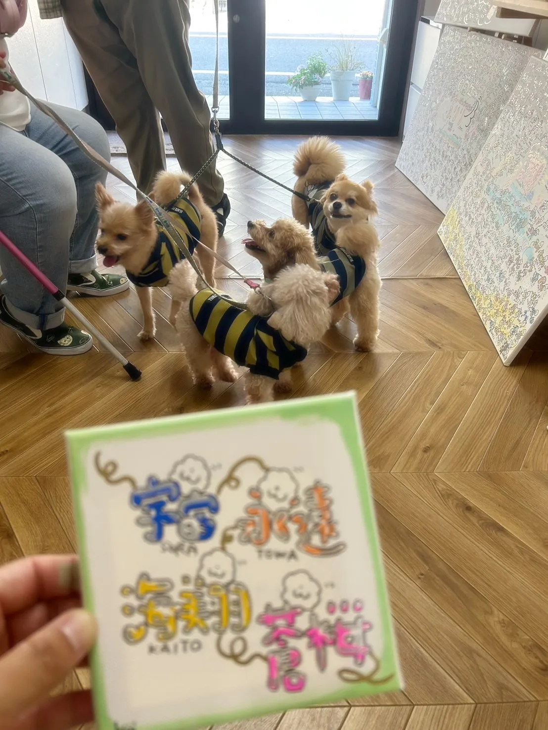 【本日のご来店わんこ🐶】海翔（かいと）くん、宇宙（そら）くん...