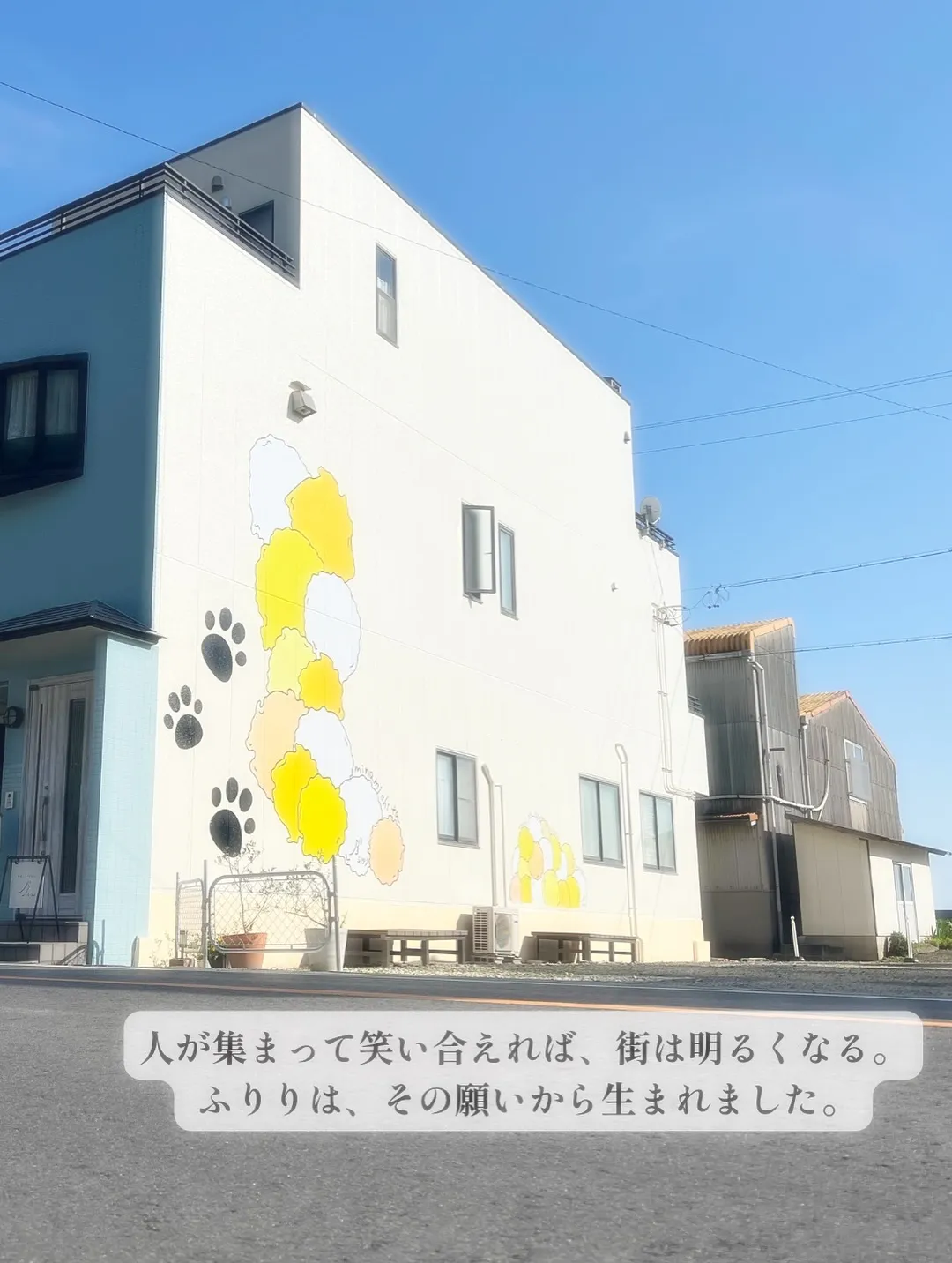 【本日のお客様🐶】