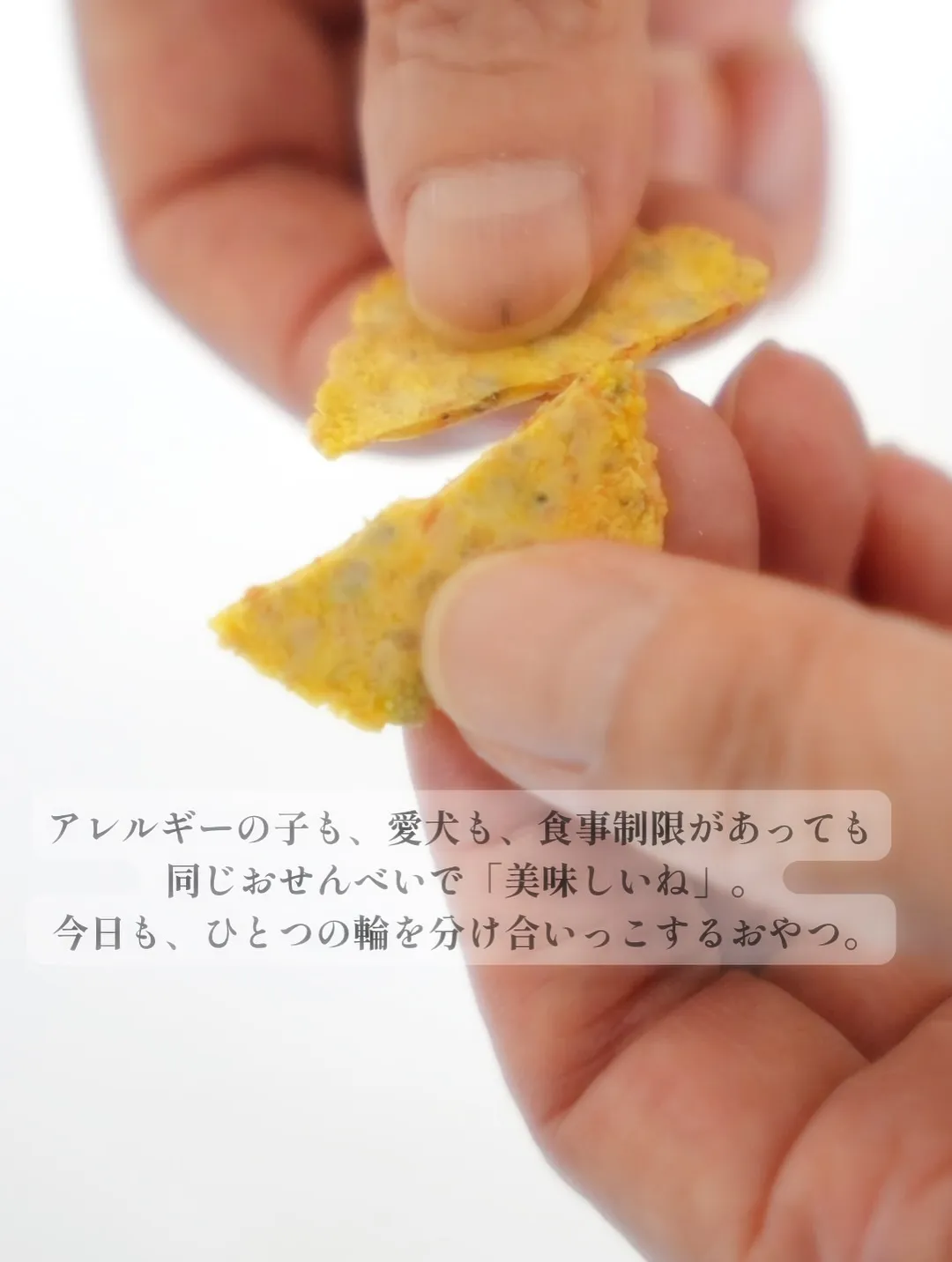 【本日のお客様🐶】